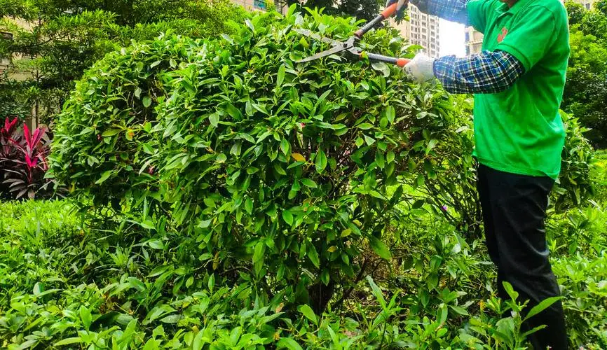 网球拍的线要硬还是软的