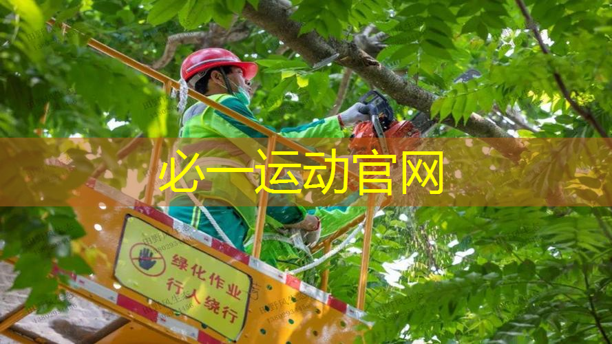 网球拍用什么拍好打孔呢