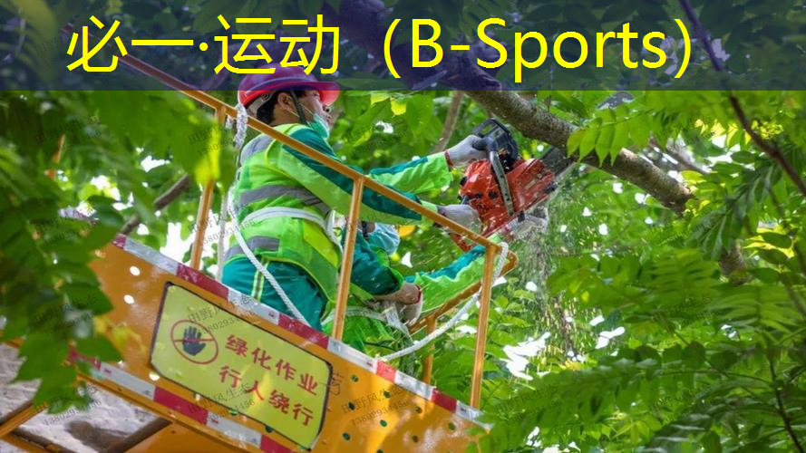 减肥室内健身器材推荐